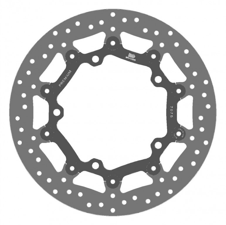 Premium brake disc NG 1623GP