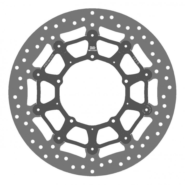 Premium brake disc NG 1689GP