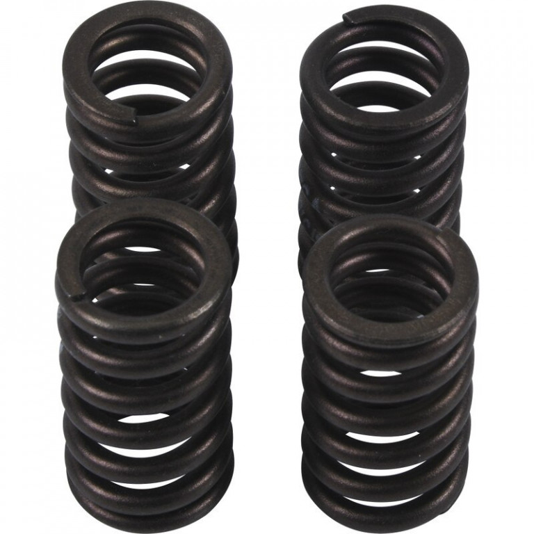 Valve spring kit HOT CAMS VSK2002