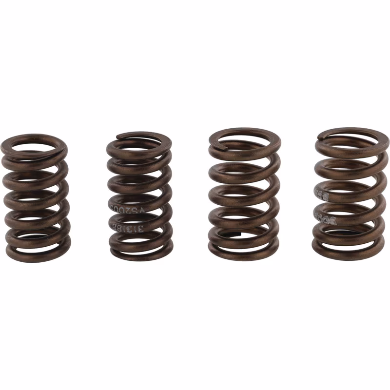 Valve spring kit HOT CAMS VSK2006 for KAWASAKI KX 250 (F) 4T 2004-2014