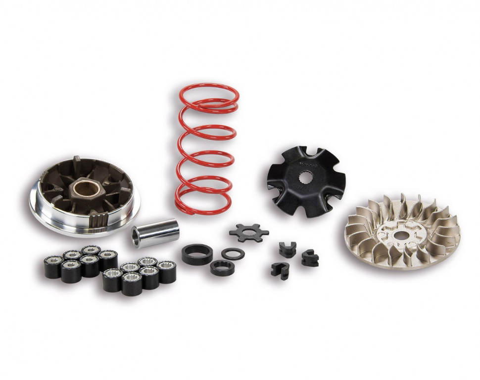 VARIATOR MULTIVAR Malossi 5113161