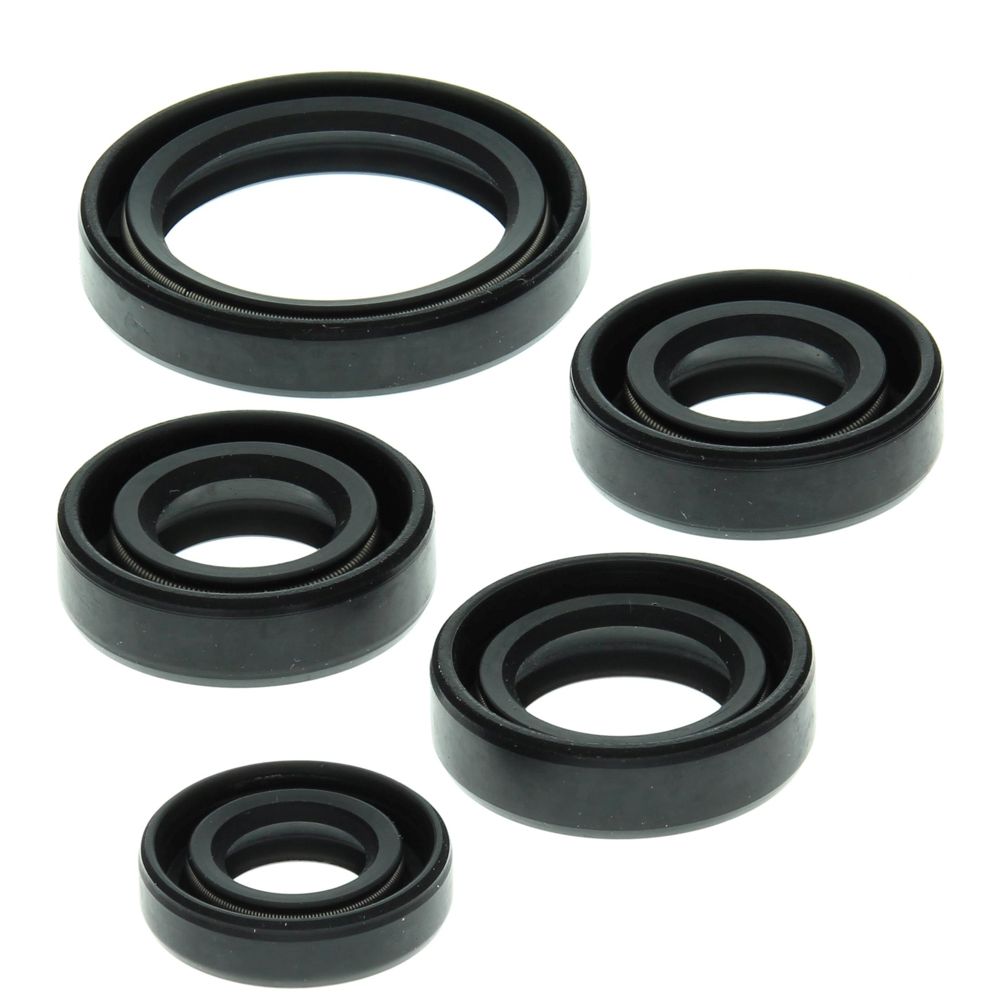 Engine Oil Seal Kit WINDEROSA 822138