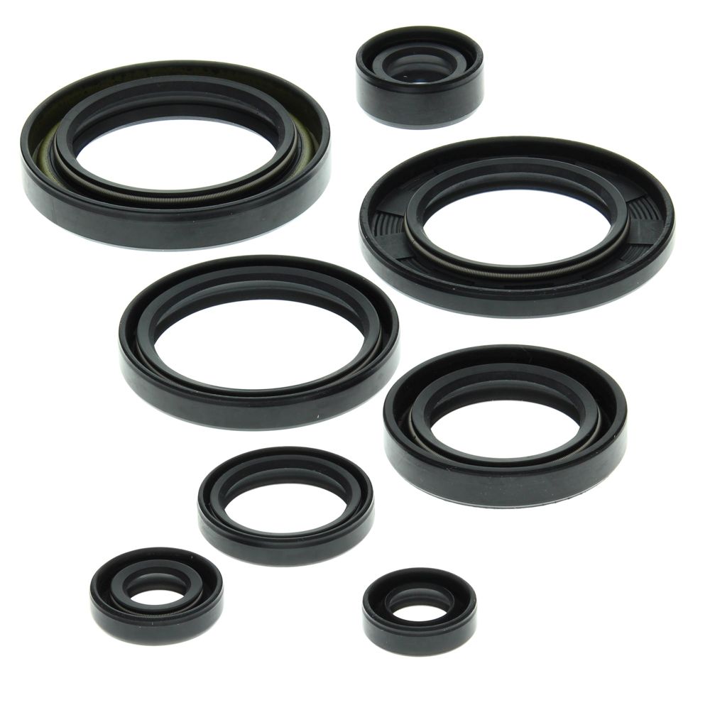 Engine Oil Seal Kit WINDEROSA 822149