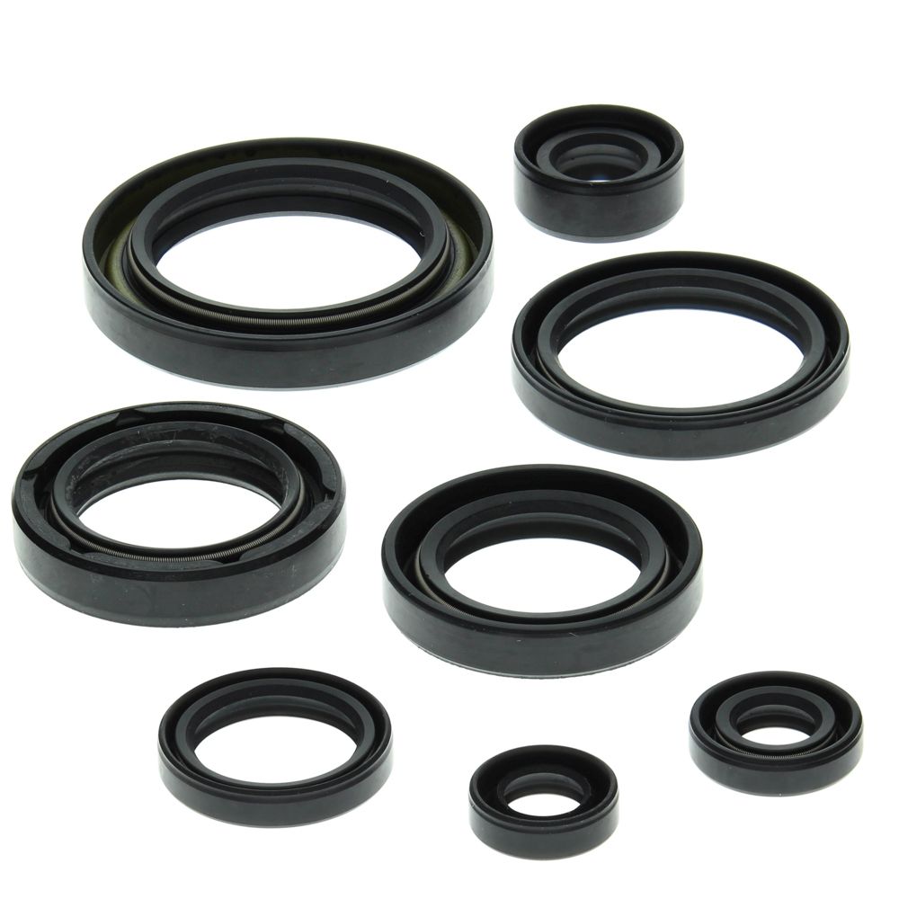 Engine Oil Seal Kit WINDEROSA 822157