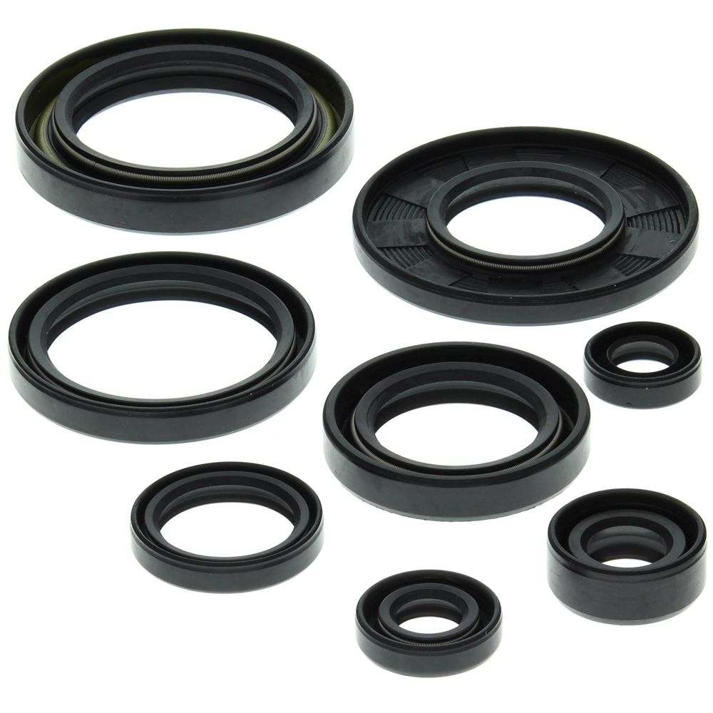 Engine Oil Seal Kit WINDEROSA 822158
