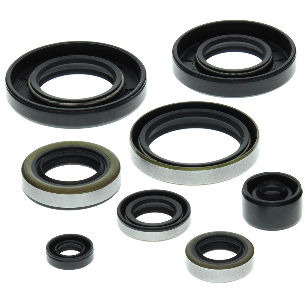 Engine Oil Seal Kit WINDEROSA 822159
