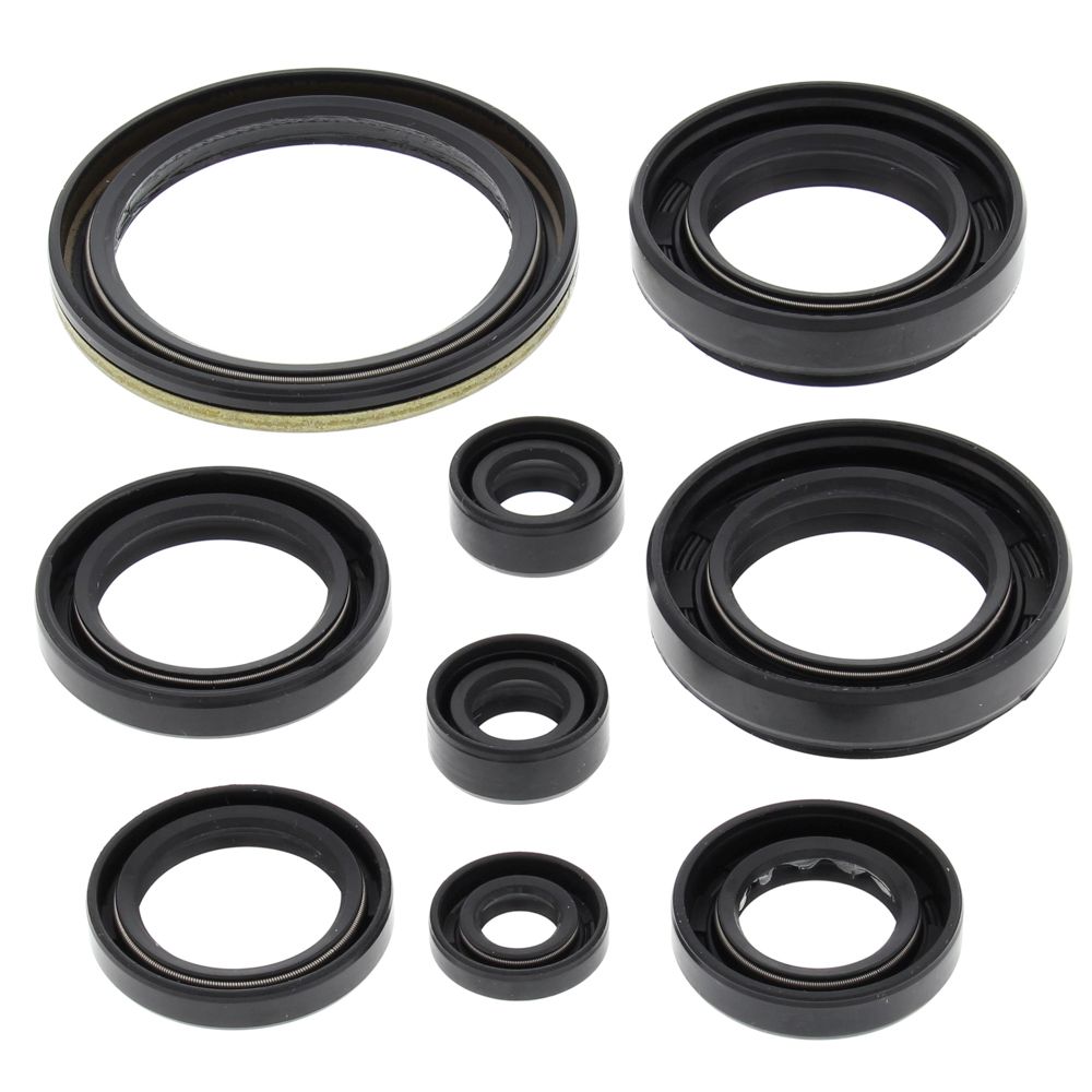 Engine Oil Seal Kit WINDEROSA 822259