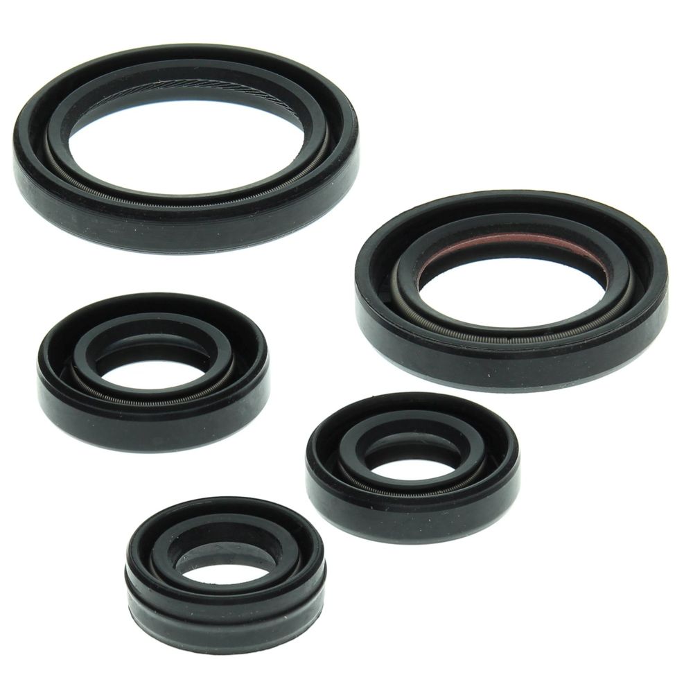 Engine Oil Seal Kit WINDEROSA 822263