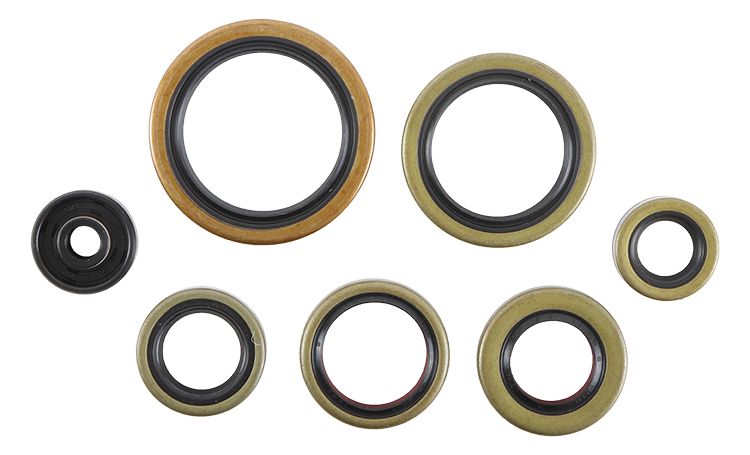 Engine Oil Seal Kit WINDEROSA 822976