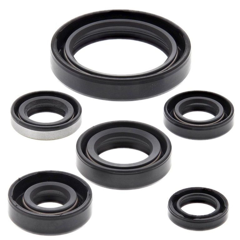 Engine Oil Seal Kit WINDEROSA 822137