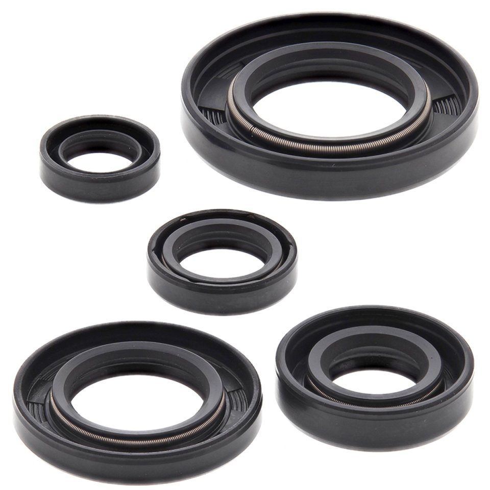 Engine Oil Seal Kit WINDEROSA 822165