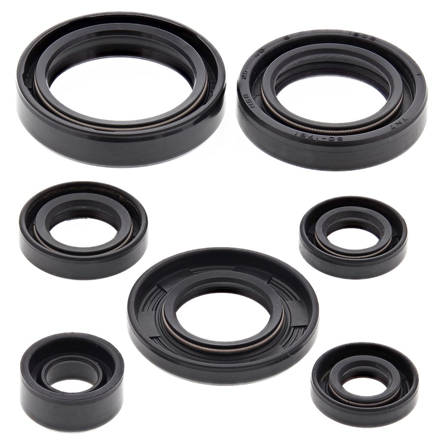 Engine Oil Seal Kit WINDEROSA 822197