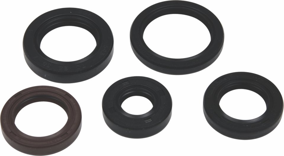 Engine Oil Seal Kit WINDEROSA 822394