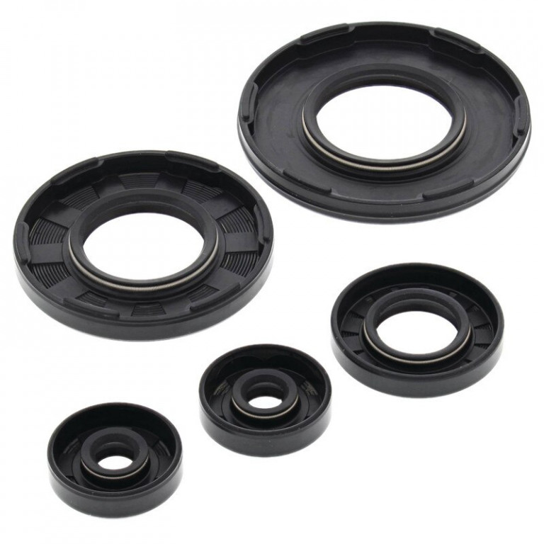 Engine Oil Seal Kit WINDEROSA 55105
