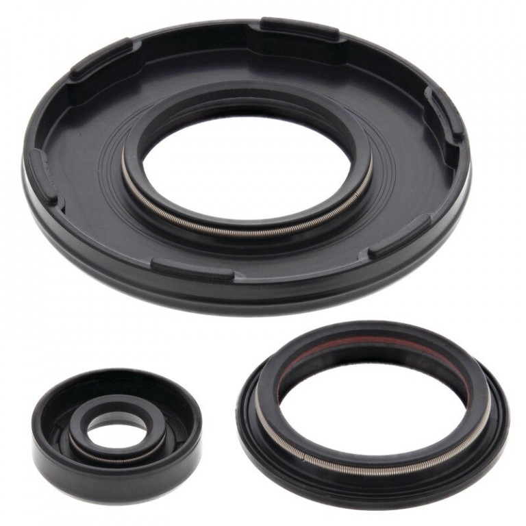 Engine Oil Seal Kit WINDEROSA 55216