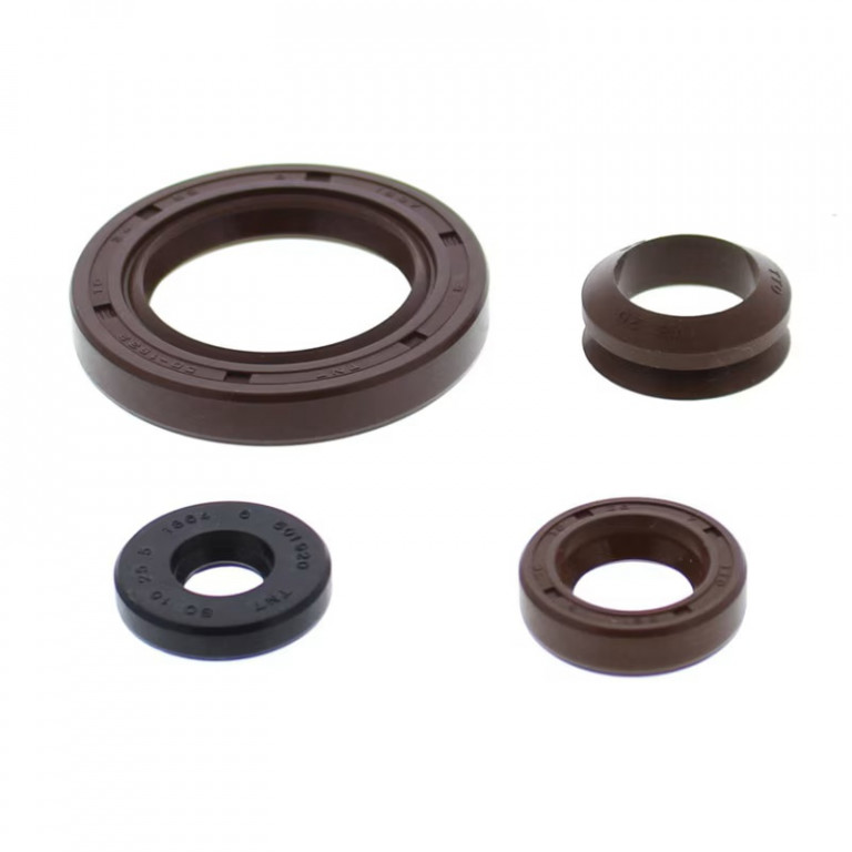 Engine Oil Seal Kit WINDEROSA 55239