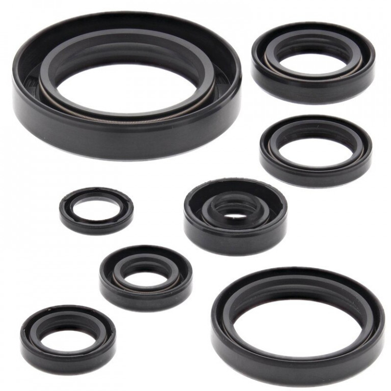 Engine Oil Seal Kit WINDEROSA 822110