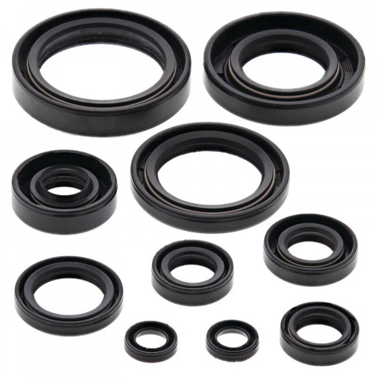 Engine Oil Seal Kit WINDEROSA 822114