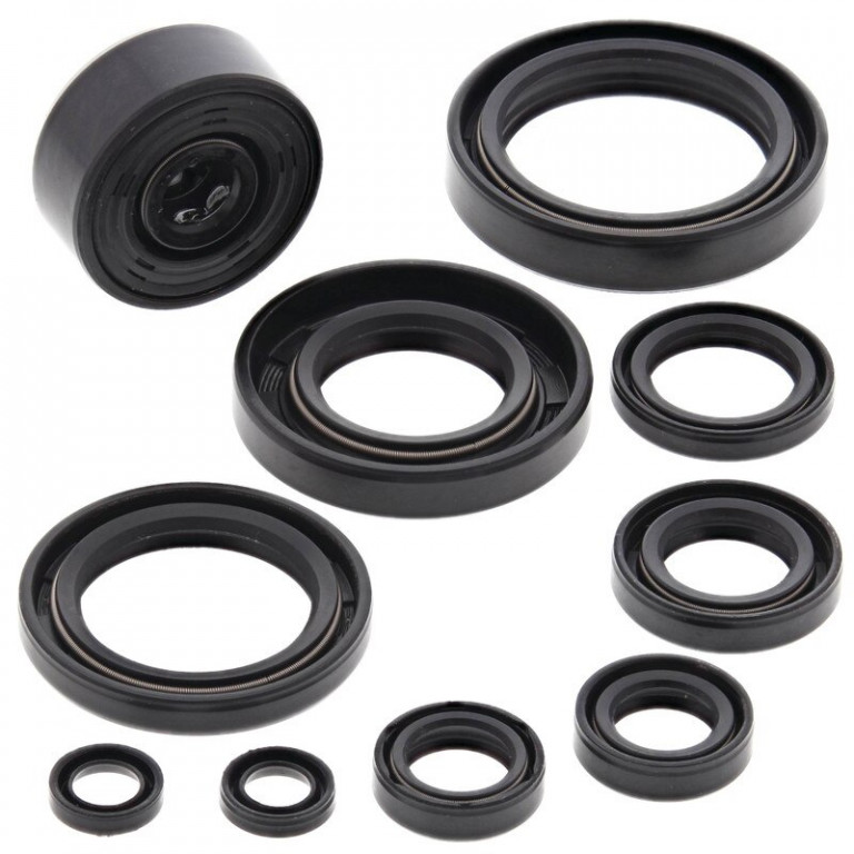 Engine Oil Seal Kit WINDEROSA 822115