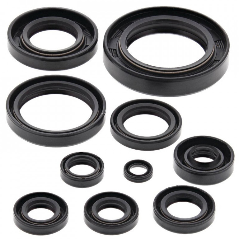 Engine Oil Seal Kit WINDEROSA 822118