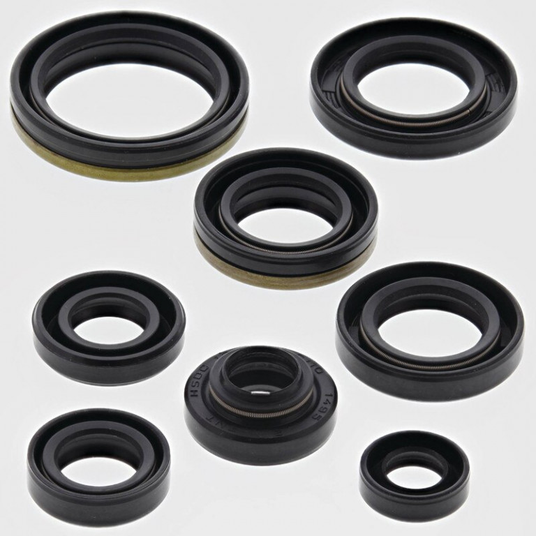 Engine Oil Seal Kit WINDEROSA 822123