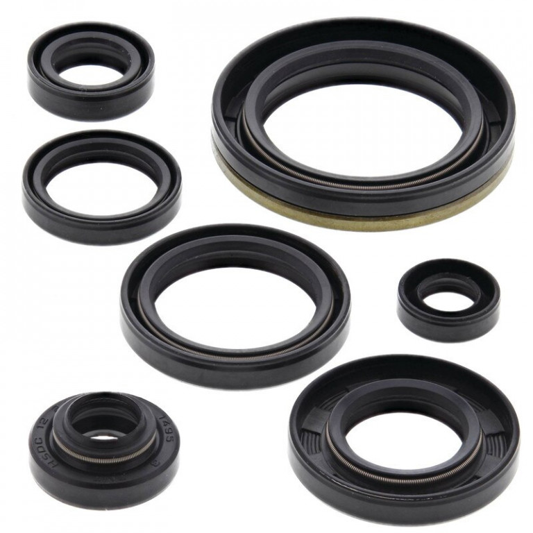 Engine Oil Seal Kit WINDEROSA 822126