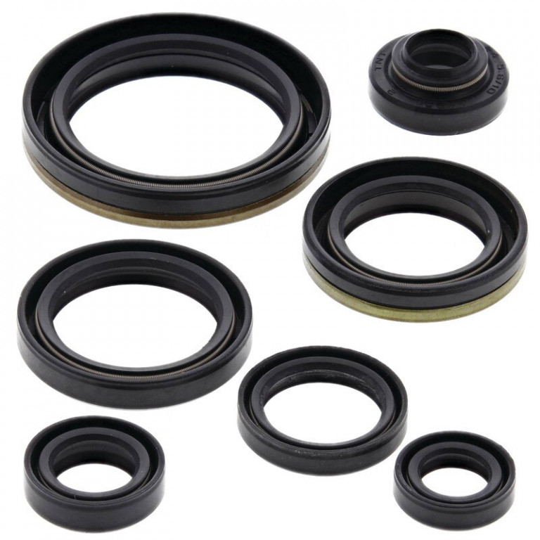 Engine Oil Seal Kit WINDEROSA 822127