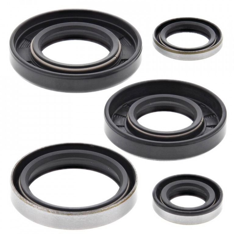 Engine Oil Seal Kit WINDEROSA 822129