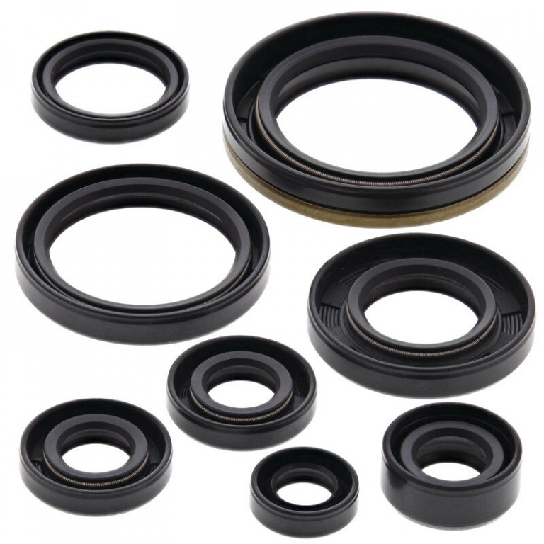 Engine Oil Seal Kit WINDEROSA 822133
