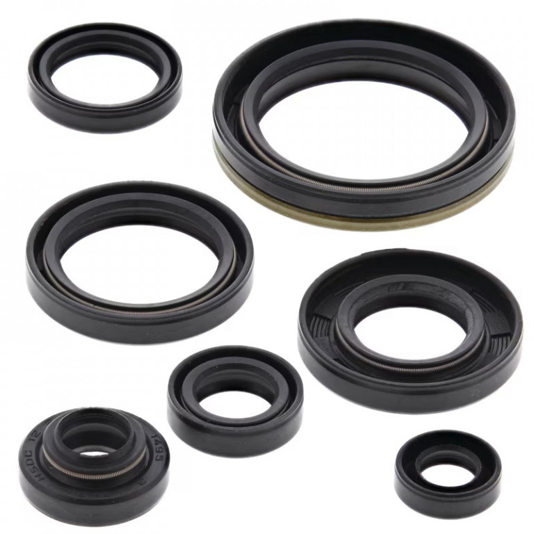 Engine Oil Seal Kit WINDEROSA 822134