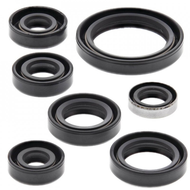 Engine Oil Seal Kit WINDEROSA 822136