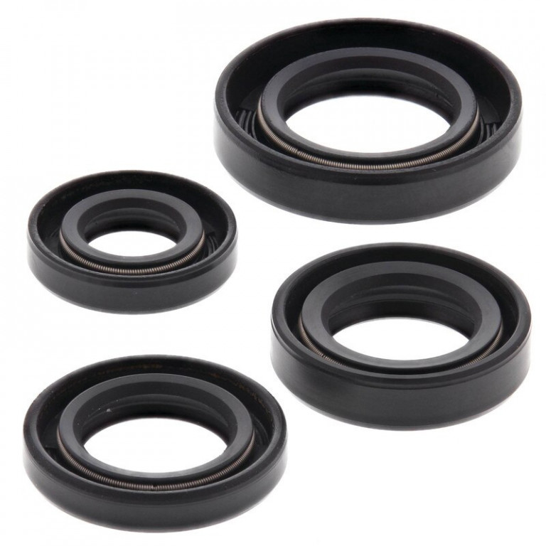 Engine Oil Seal Kit WINDEROSA 822163