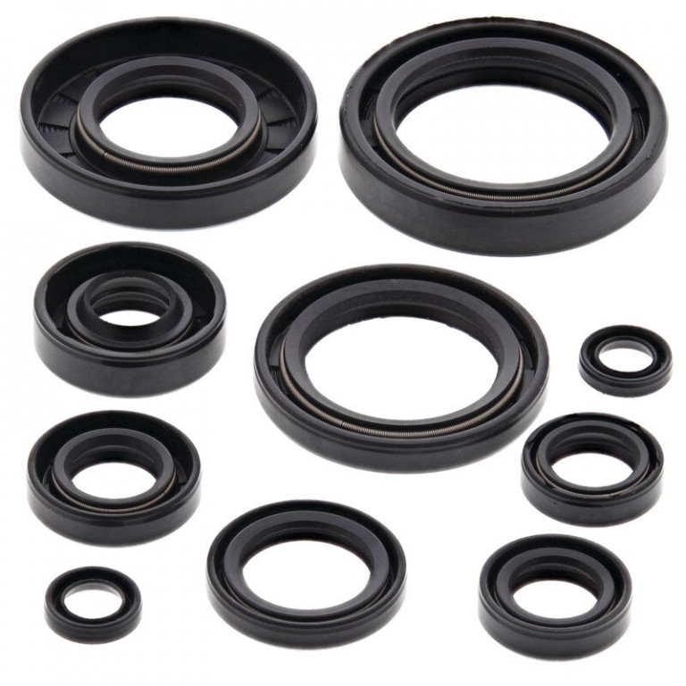 Engine Oil Seal Kit WINDEROSA 822172
