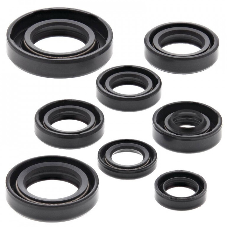 Engine Oil Seal Kit WINDEROSA 822181