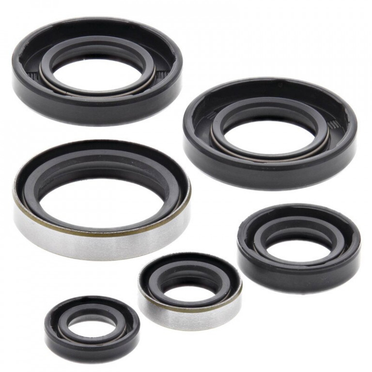Engine Oil Seal Kit WINDEROSA 822185