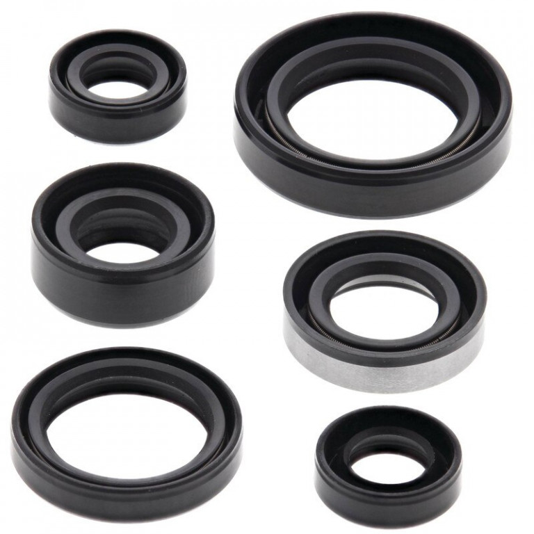 Engine Oil Seal Kit WINDEROSA 822194
