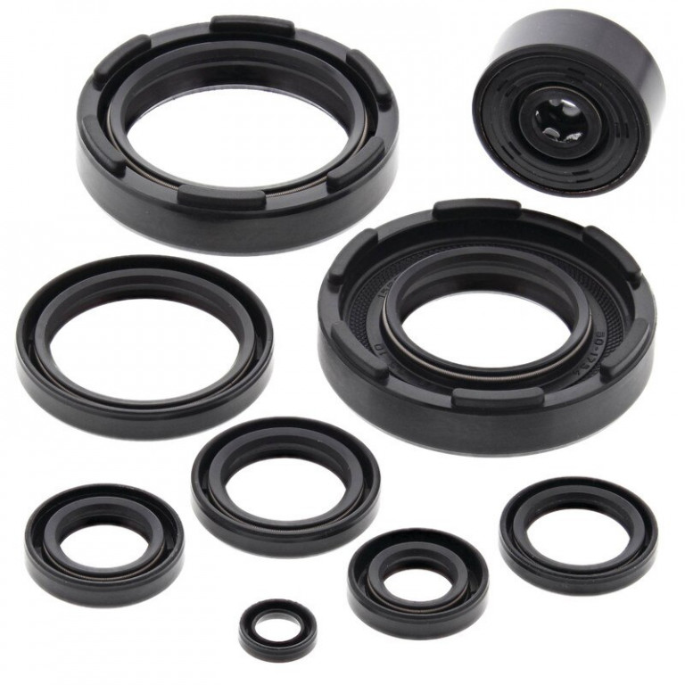 Engine Oil Seal Kit WINDEROSA 822221