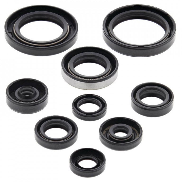 Engine Oil Seal Kit WINDEROSA 822223