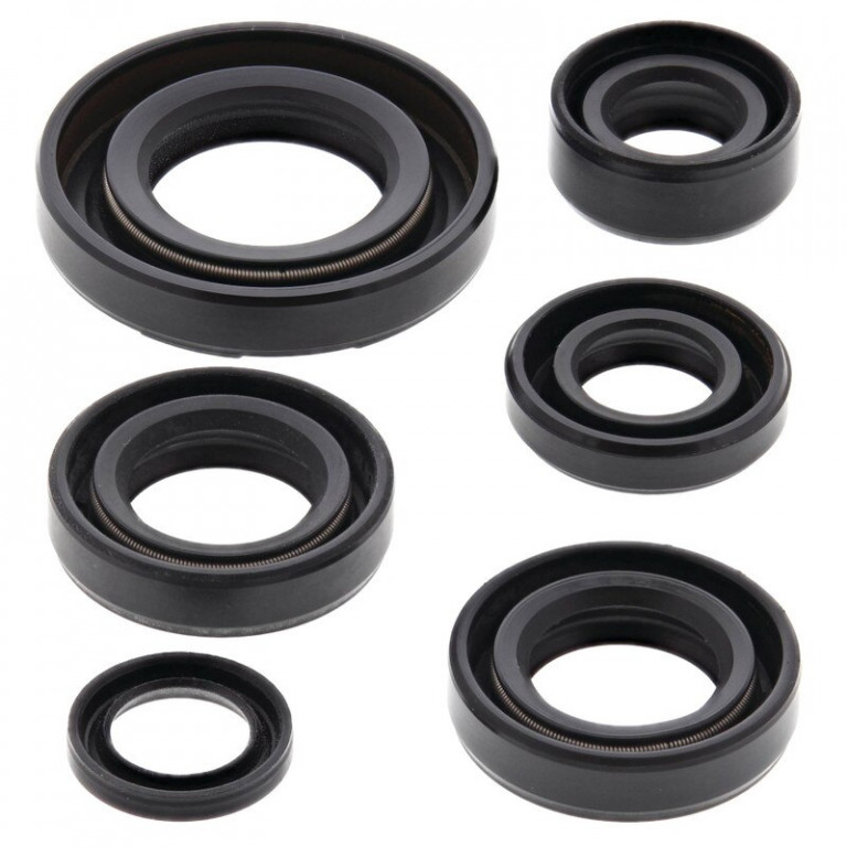 Engine Oil Seal Kit WINDEROSA 822224