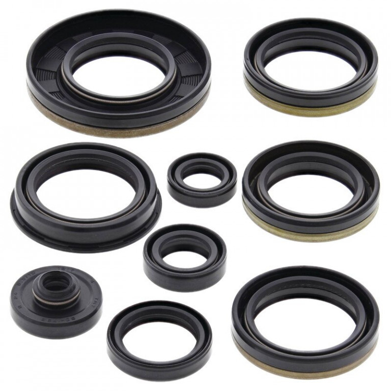 Engine Oil Seal Kit WINDEROSA 822227