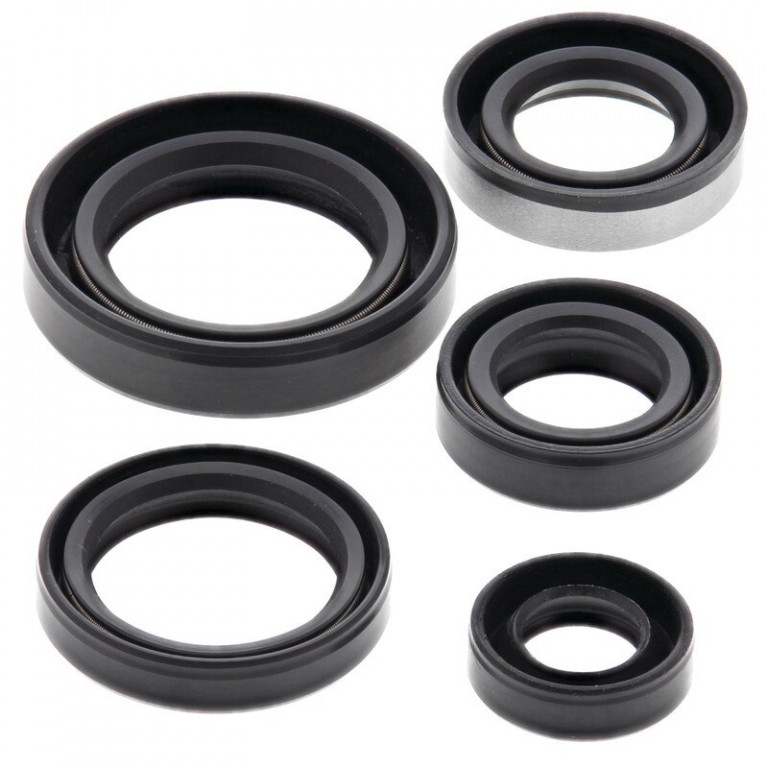 Engine Oil Seal Kit WINDEROSA 822245