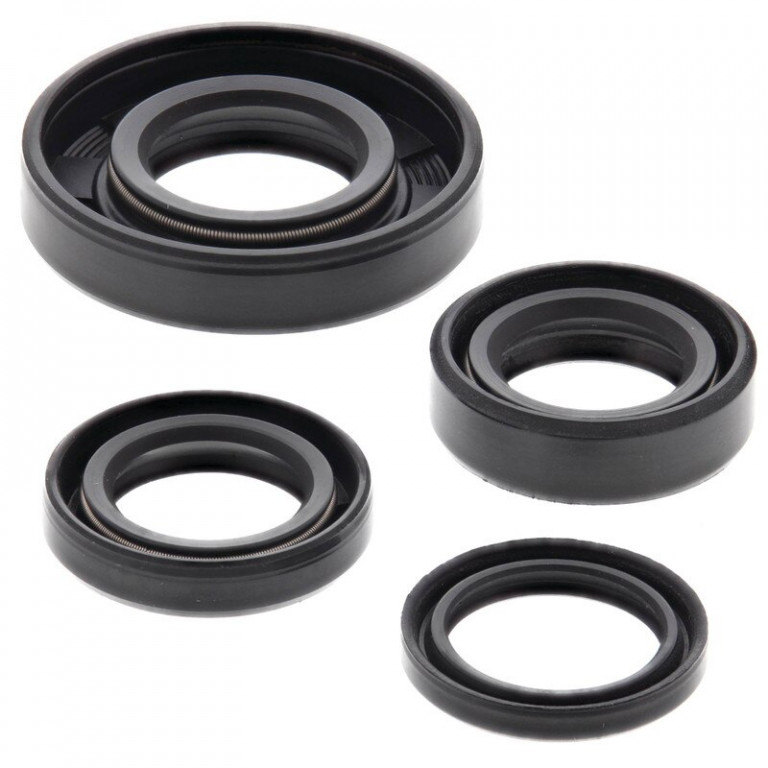 Engine Oil Seal Kit WINDEROSA 822246