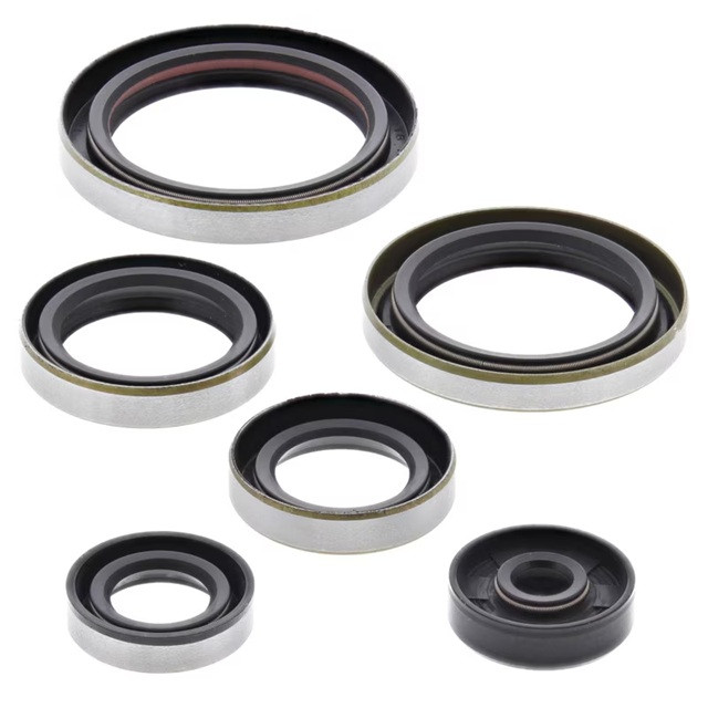 Engine Oil Seal Kit WINDEROSA 822269