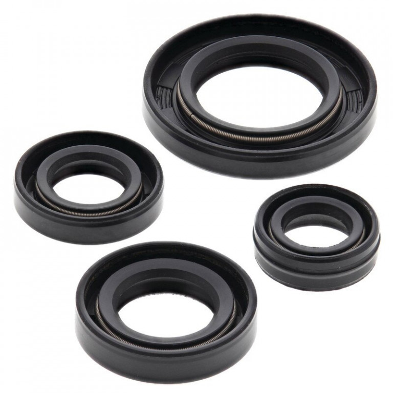 Engine Oil Seal Kit WINDEROSA 822272