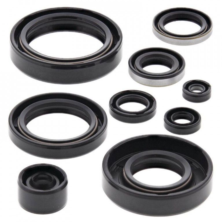 Engine Oil Seal Kit WINDEROSA 822294