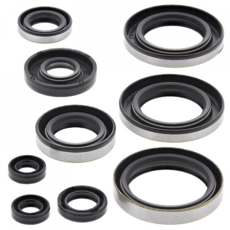 Engine Oil Seal Kit WINDEROSA 822296