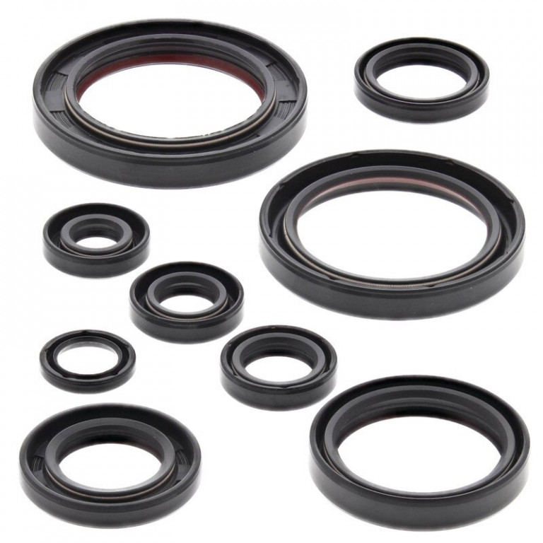 Engine Oil Seal Kit WINDEROSA 822315