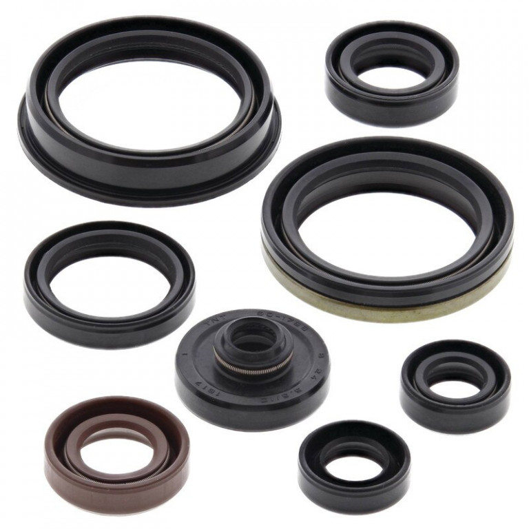 Engine Oil Seal Kit WINDEROSA 822318