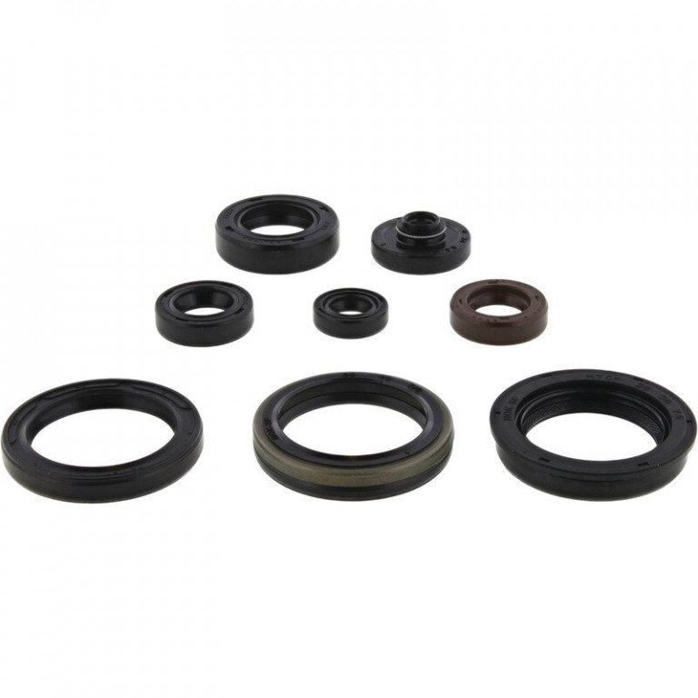 Engine Oil Seal Kit WINDEROSA 822329