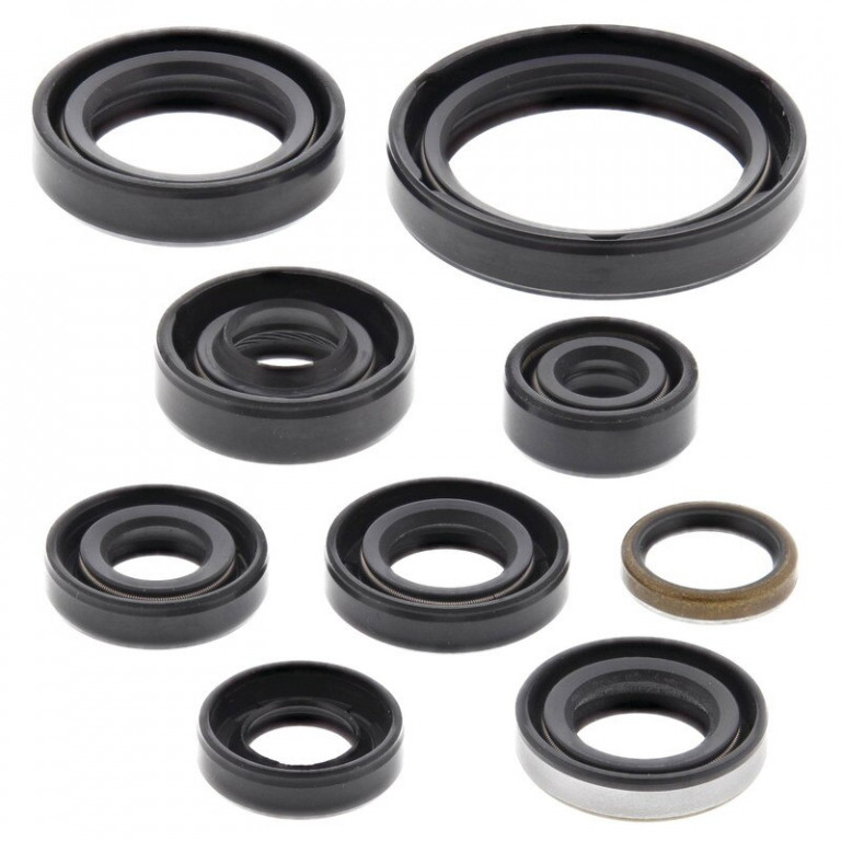Engine Oil Seal Kit WINDEROSA 822336